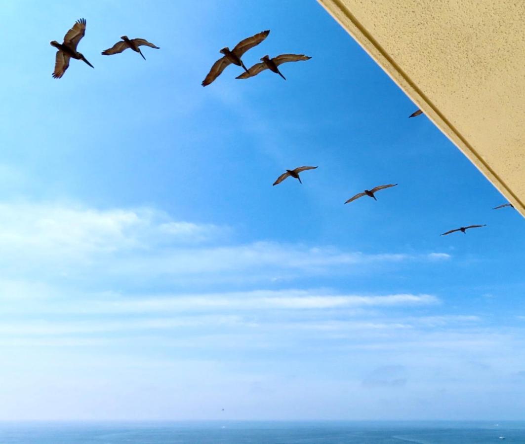 Just Updated - Beachfront Ocean View, 19Th Floor Дестин Экстерьер фото